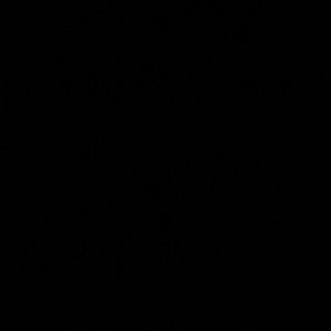 Meet your Posher, Danna